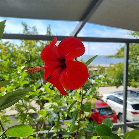 Apartman Ruza Podgora Exteriör bild